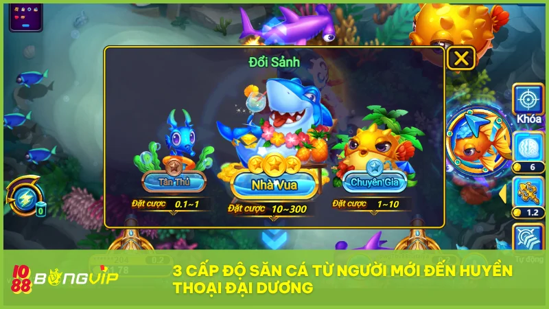 Từng cấp độ chơi được thiết kế phù hợp từ tân thủ đến cao thủ, mang đến cảm giác tiến bộ rõ rệt.