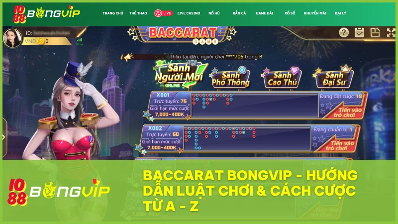 Trải nghiệm game Baccarat tại BongVip với luật chơi chuẩn và tỷ lệ cực hấp dẫn