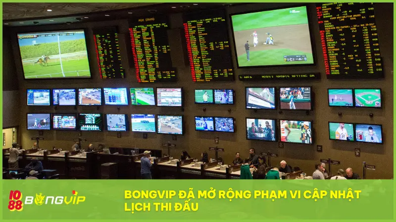 BONGVIP đã mở rộng phạm vi cập nhật Lịch Thi Đấu