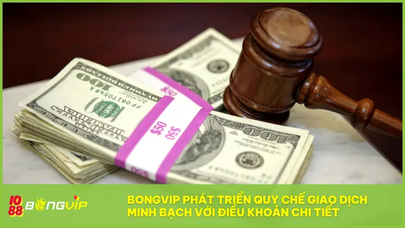 BONGVIP đã phát triển quy chế giao dịch minh bạch với hệ thống điều khoản chi tiết