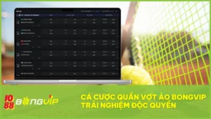 Cá cược Quần Vợt Ảo BONGVIP – Sân chơi không giới hạn 