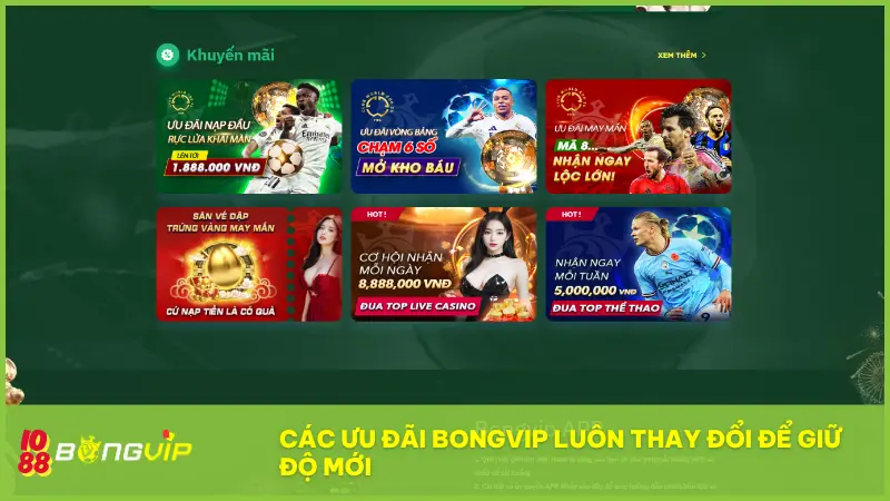 Các ưu đãi BONGVIP luôn thay đổi để giữ độ mới