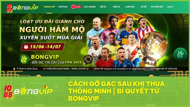 Gỡ gạc sau khi thua có hiệu quả không? Cách chơi khôn ngoan từ chuyên gia