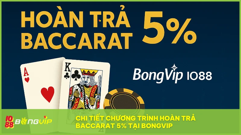 Dù thắng hay thua bạn vẫn nhận 5% hoàn trả Baccarat từ BongVip IO88 mỗi ngày
