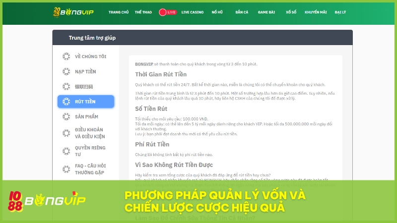 Chuyên gia BONGVIP chia sẻ bí quyết quản lý vốn tối ưu