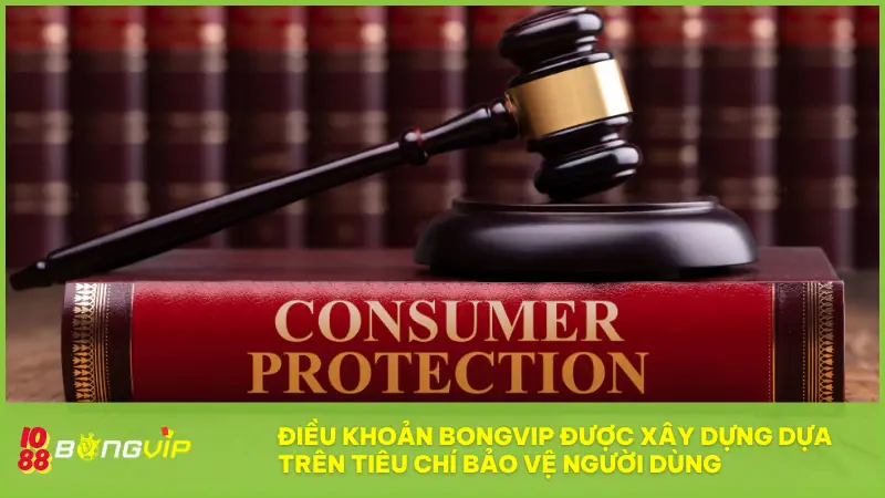 Điều khoản BONGVIP được xây dựng dựa trên tiêu chí bảo vệ người dùng