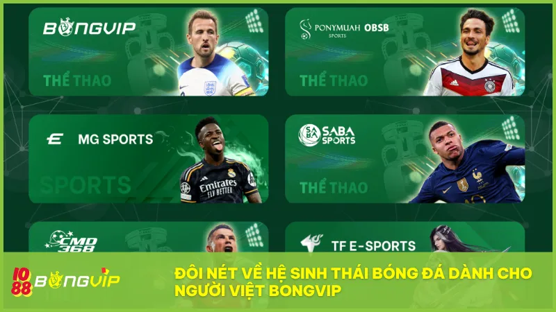 Toàn cảnh hệ sinh thái Bongvip