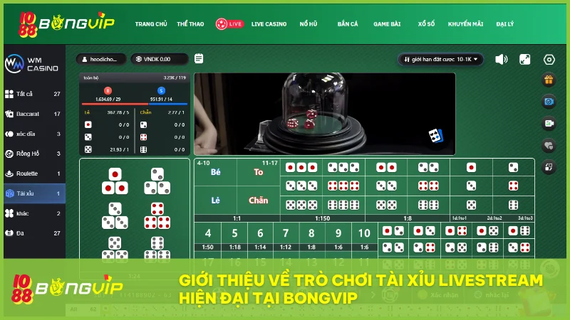 Tài xỉu livestream tại BongVip là sự kết hợp giữa công nghệ hiện đại và cảm xúc chân thật trong từng lần lắc xúc xắc.