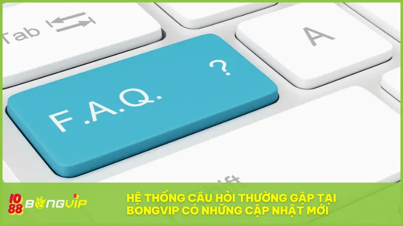 Hệ thống câu hỏi thường gặp tại BONGVIP có những cập nhật mới 