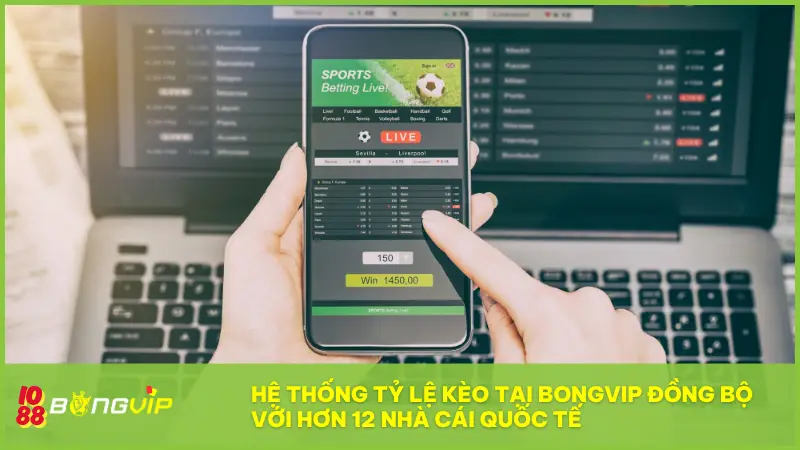 Hệ thống Tỷ Lệ Kèo tại BONGVIP được đồng bộ với hơn 12 nhà cái quốc tế