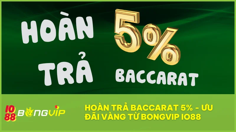 Hoàn trả Baccarat 5% tại BONGVIP IO88: Cược thua không lo, thêm vốn gỡ gạc!