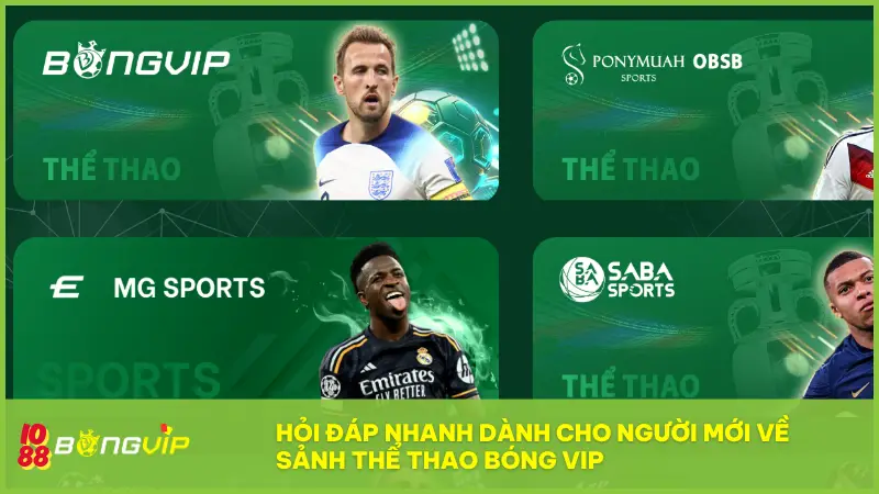 Hỏi đáp nhanh dành cho người mới khi bắt đầu khám phá sảnh thể thao Bóng Vip
