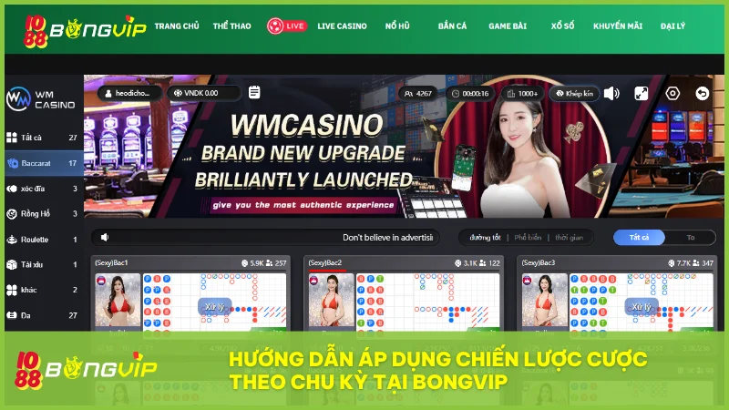 Cược theo chu kỳ là gì? Cách áp dụng thắng bền vững tại Bong Vip 3 Tuân thủ từng bước cụ thể để chuyển hóa phân tích chu kỳ thành lợi nhuận thực tế.