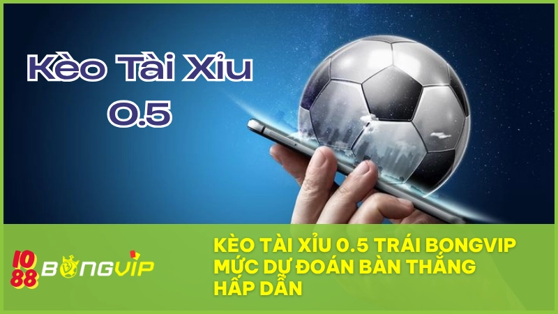Kèo tài xỉu 0.5 trái BONGVIP - Mức dự đoán bàn thắng hấp dẫn 1 Kèo tài xỉu 0.5 trái BONGVIP: Cược 1 bàn thắng, thắng cả trận