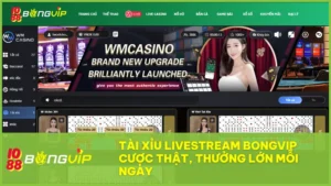 Tài xỉu livestream tại Bóng vip không chỉ giải trí mà còn mang đến hành trình cảm xúc đậm chất casino hiện đại ngay tại nhà.