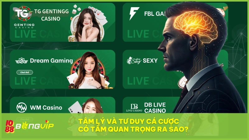 Tâm lý & tư duy cá cược chiếm 40% khả năng thắng cược tại BONGVIP