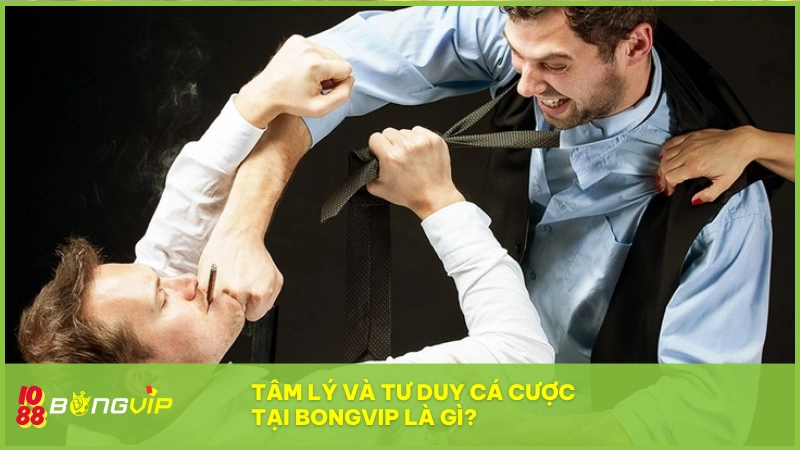 Tâm lý và tư duy cá cược giúp kiểm soát cảm xúc và chiến lược