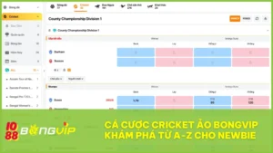 Tất tần tật về cá cược Cricket ảo BONGVIP cho newbie