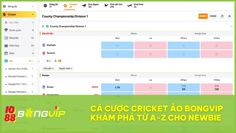 Cá cược Cricket ảo BONGVIP – Khám phá từ A-Z cho newbie