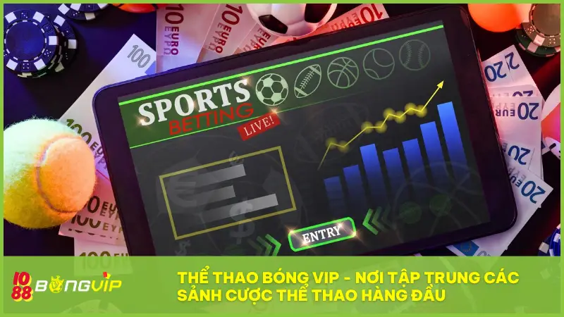 Thể thao Bóng Vip - Nơi tập trung các sảnh cược thể thao hàng đầu