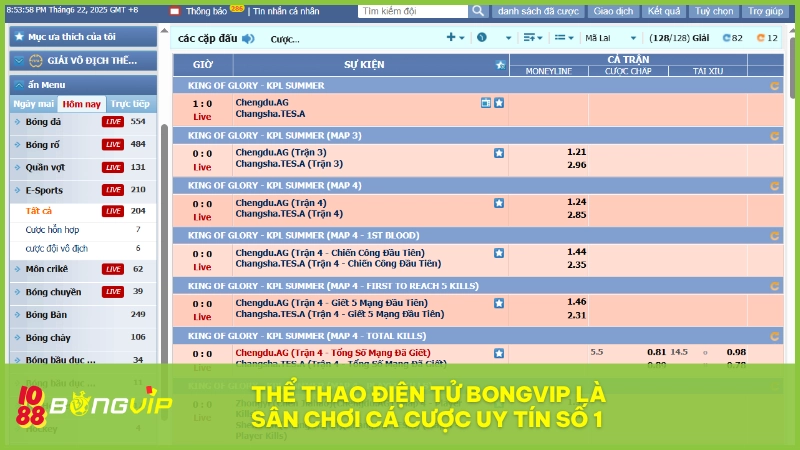 Thể Thao Điện Tử BONGVIP là sân chơi cá cược uy tín số 1