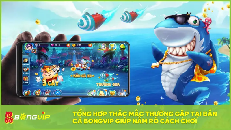 Tổng hợp các thắc mắc thường gặp tại Bắn cá BONGVIP giúp bạn nắm rõ cách chơi