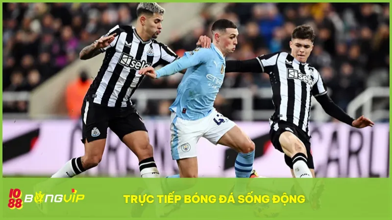 Bongvip có tính năng trực tiếp các trận đấu có chất lượng cao