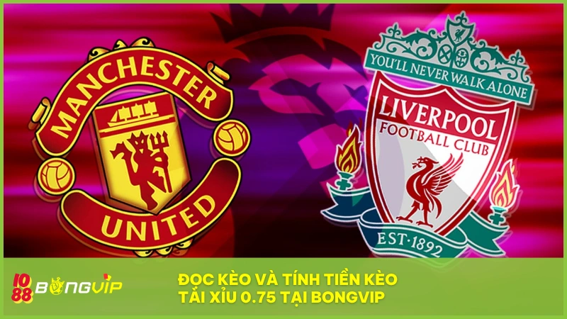 Ví dụ MU vs Liverpool làm rõ cách tính tiền kèo 0.75 tại BONGVIP