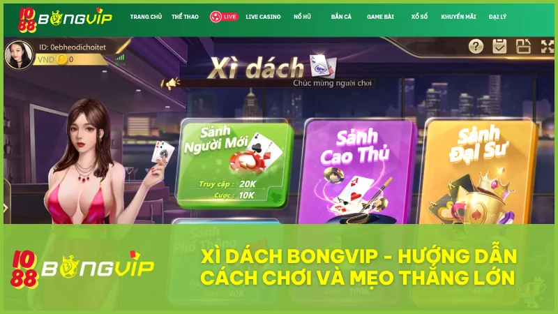 Xì Dách BongVip IO88 có gì hấp dẫn? Hướng dẫn chơi chuẩn cho mọi cấp độ