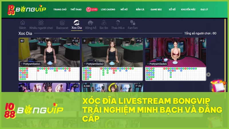 Xóc Đĩa Livestream tại BongVip: Trải nghiệm sòng bài chân thực, minh bạch cùng dealer