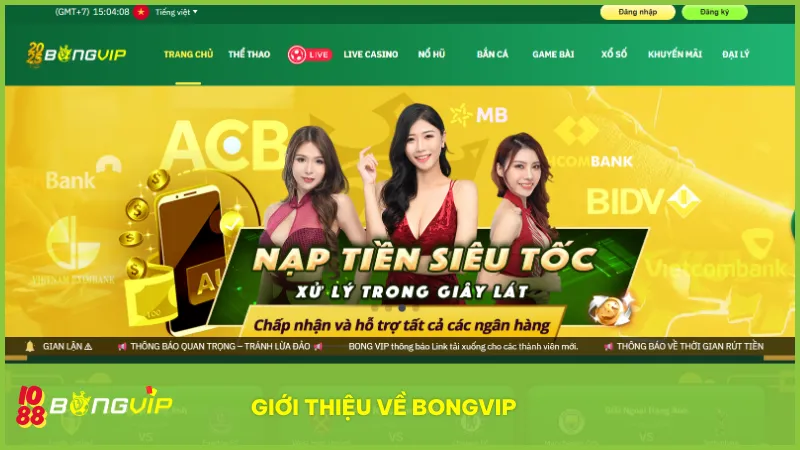 Giới thiệu về BongVip – Nền tảng giải trí uy tín với giấy phép đầy đủ
